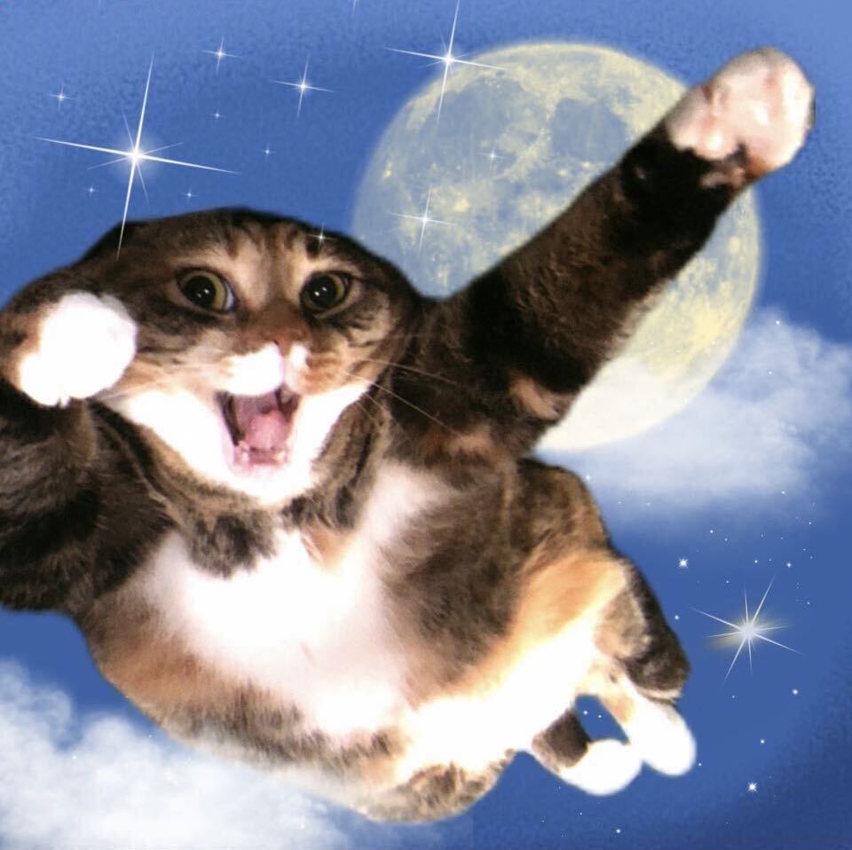 JON.HO • 𝐕𝐈𝐏